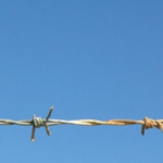 Council of Europe Annual Penal Statistics