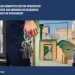 Hugh Chetwynd: CPT Standards and Findings in Relation to Solitary Confinement in Prisons (presentation)