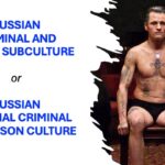 Dmytro Yagunov:  Russian Criminal and Prison Subculture or Russian National Criminal and Prison Culture (The 2025 Annual Conference of the European Society of Criminology)